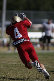 足球赛场焦点！巴西队对阵西班牙队，核心球员受伤，球队前景蒙阴影